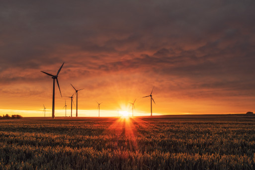 Field of Wind Turbines with setting sun representing Real Estate natural resource opportunities in Tennessee 